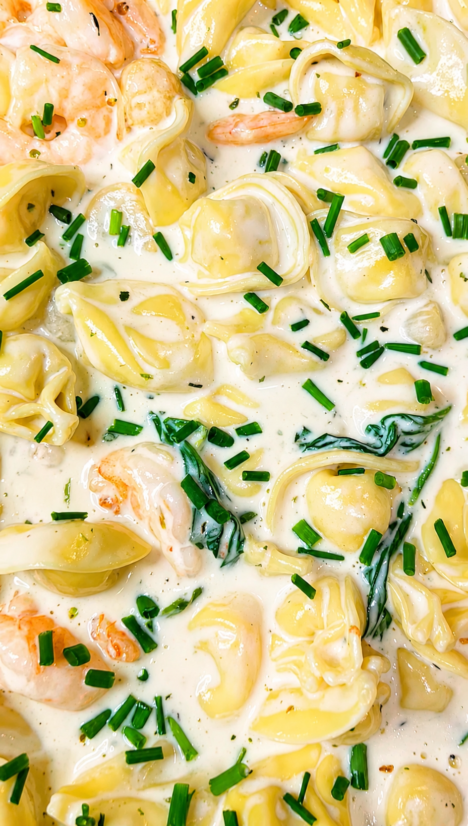 3 Cheese Shrimp & Scallop Tortellini Pasta