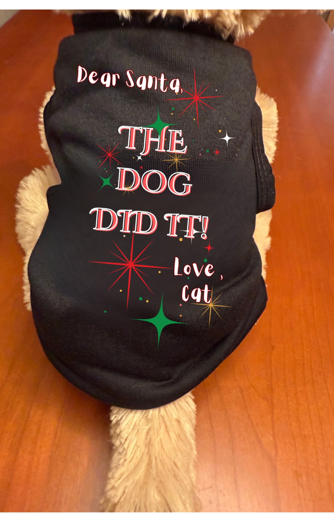 Dear Santa | Dog & Cat Christmas Shirt