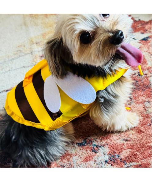 A small dog wearing a yellow and black bee life jacket with white wings.
