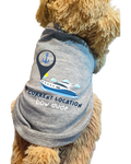 A close-up of a fluffy tan dog wearing a heather gray pet shirt with a nautical graphic and the text 'CURRENT LOCATION bow dude'.