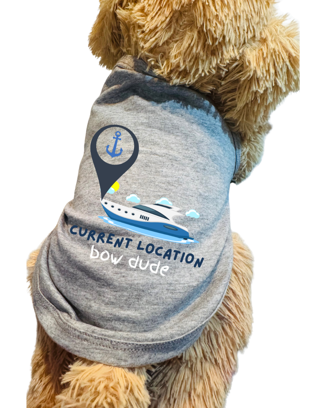 A close-up of a fluffy tan dog wearing a heather gray pet shirt with a nautical graphic and the text 'CURRENT LOCATION bow dude'.