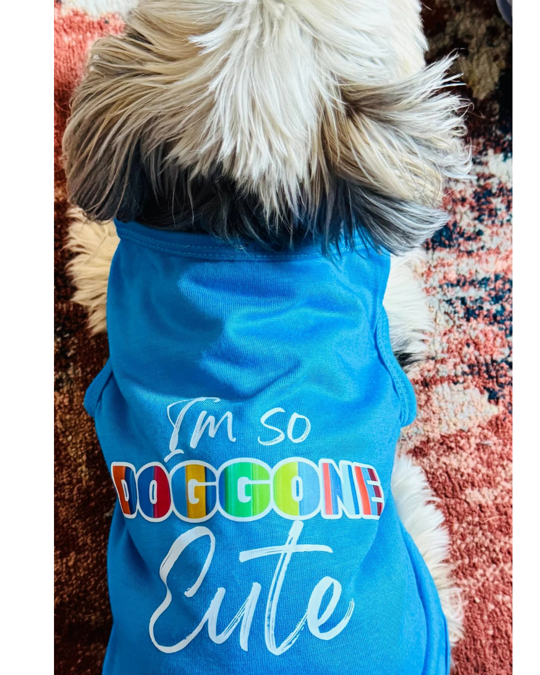 A small dog viewed from behind wearing a bright blue pet shirt with the text 'I'm so DOGGONE Cute' in white.