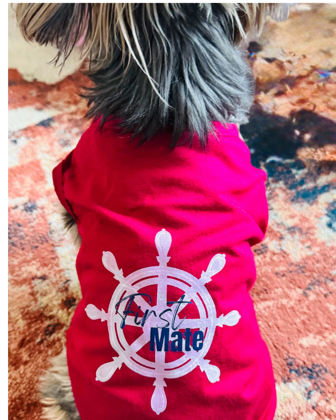 A small dog viewed from behind wearing a bright red pet shirt with a white ship wheel graphic and the words 'First Mate' in navy and white.