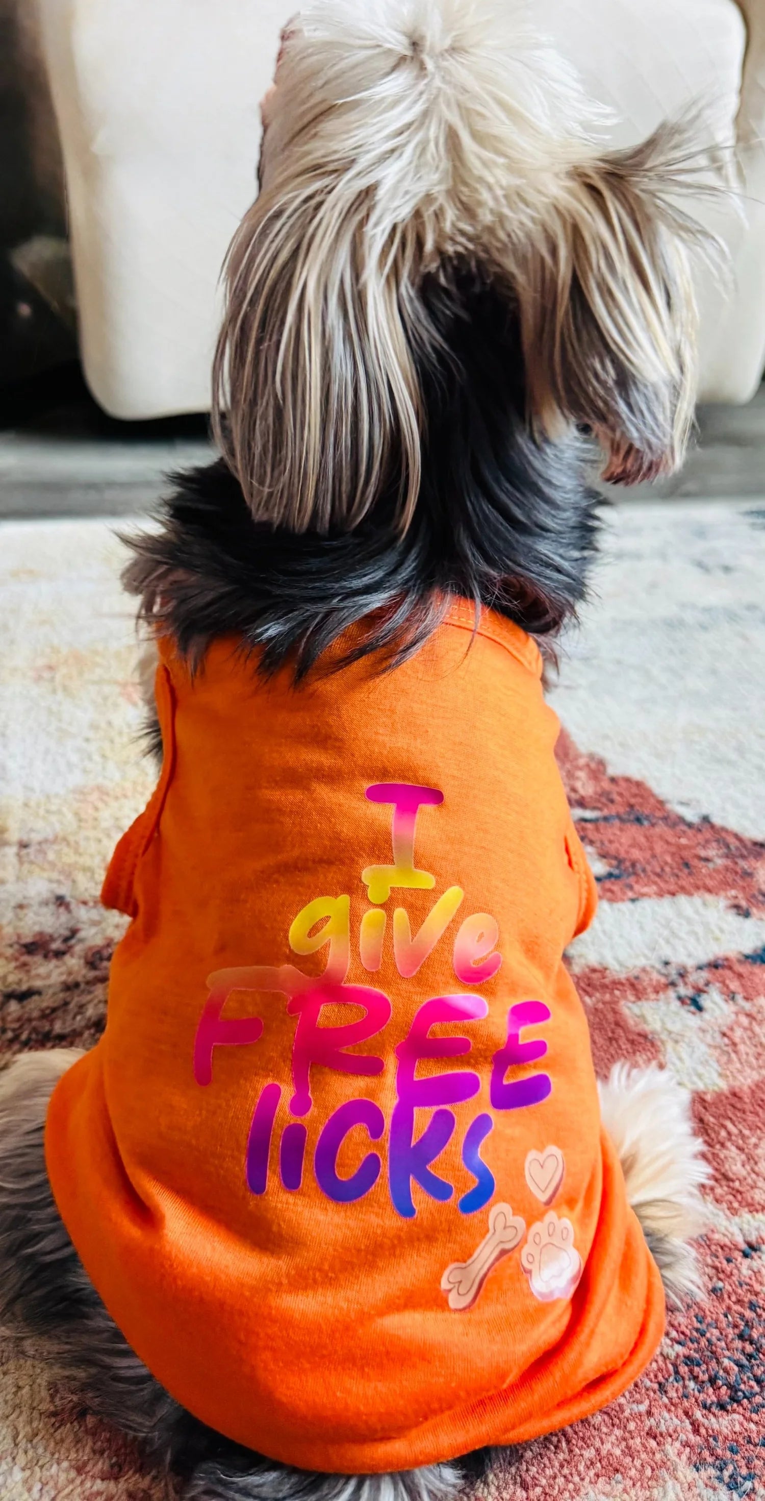A small dog seen from behind wearing a bright orange pet shirt with the slogan 'I give FREE licks' in colorful lettering, sitting on a patterned rug.