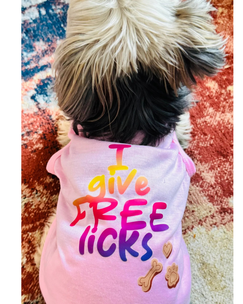 A small fluffy dog seen from behind wearing a pink pet shirt with the text 'I give FREE licks' in a rainbow gradient and small bone and paw prints on the back, resting on a patterned rug.