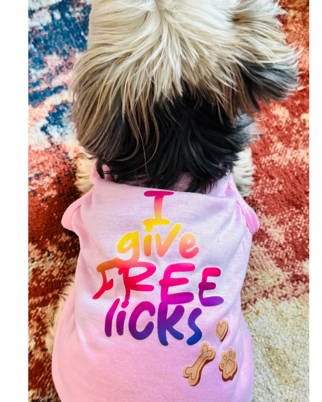 A small fluffy dog seen from behind wearing a pink pet shirt with the text 'I give FREE licks' in a rainbow gradient and small bone and paw prints on the back, resting on a patterned rug.