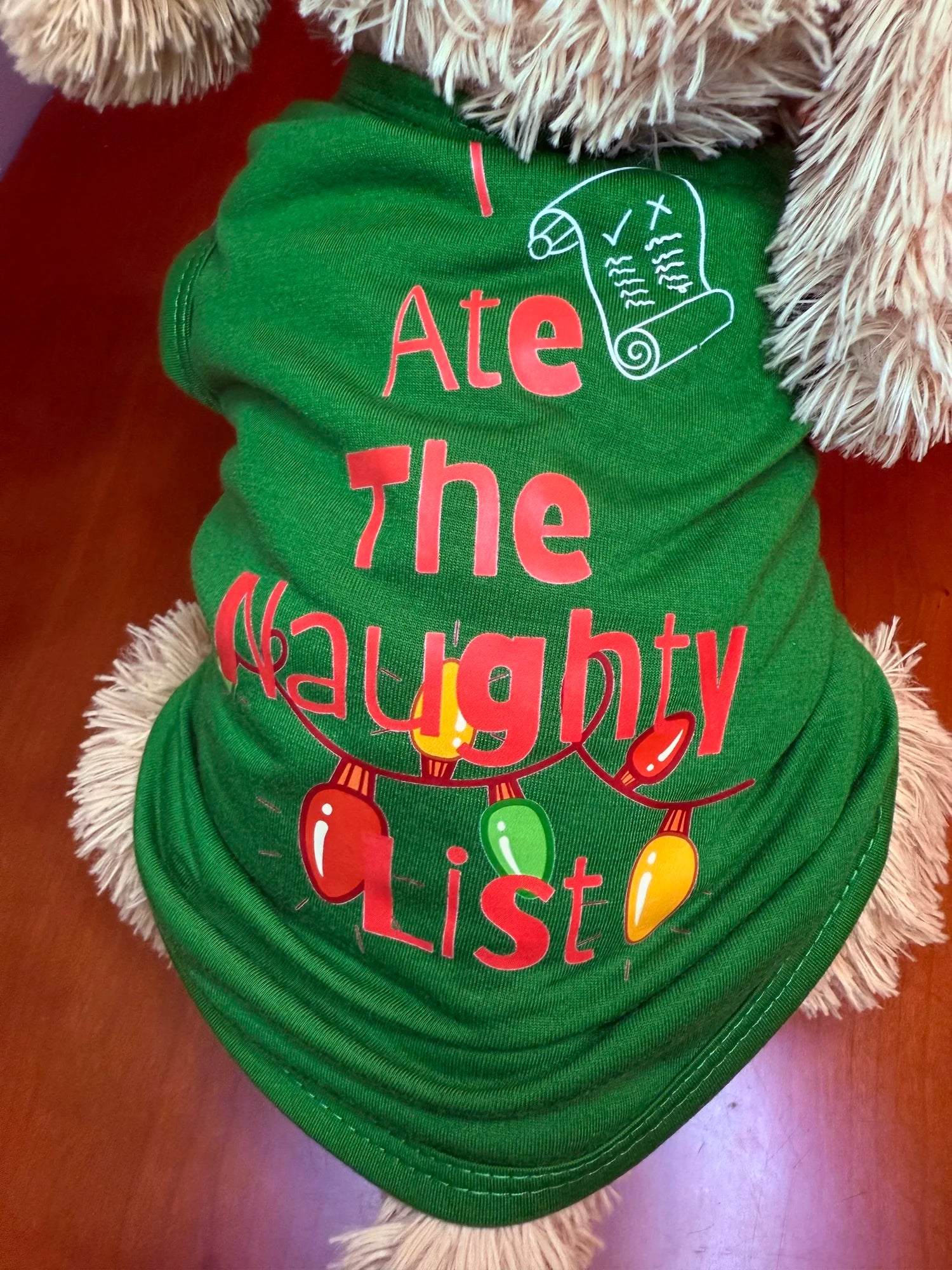 I Ate the Naughty List | Dog & Cat T-Shirt