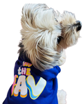 A small fluffy dog wearing a purple pet tee with colorful bubble text reading 'i'm the FAV'. The dog is shown in profile against a plain white background.