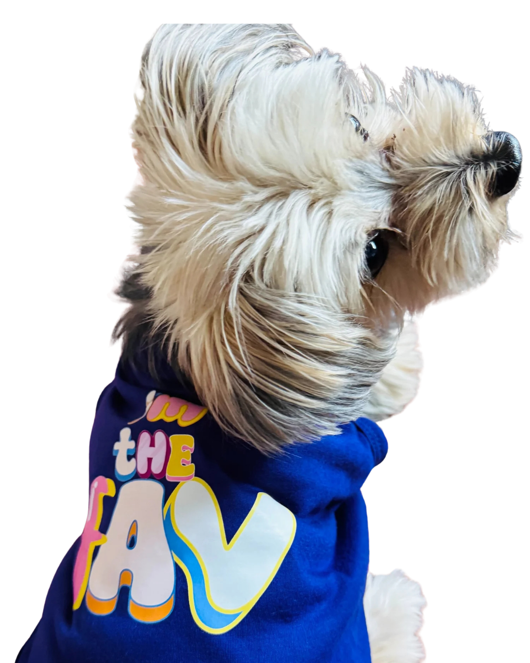 A small fluffy dog wearing a purple pet tee with colorful bubble text reading 'i'm the FAV'. The dog is shown in profile against a plain white background.