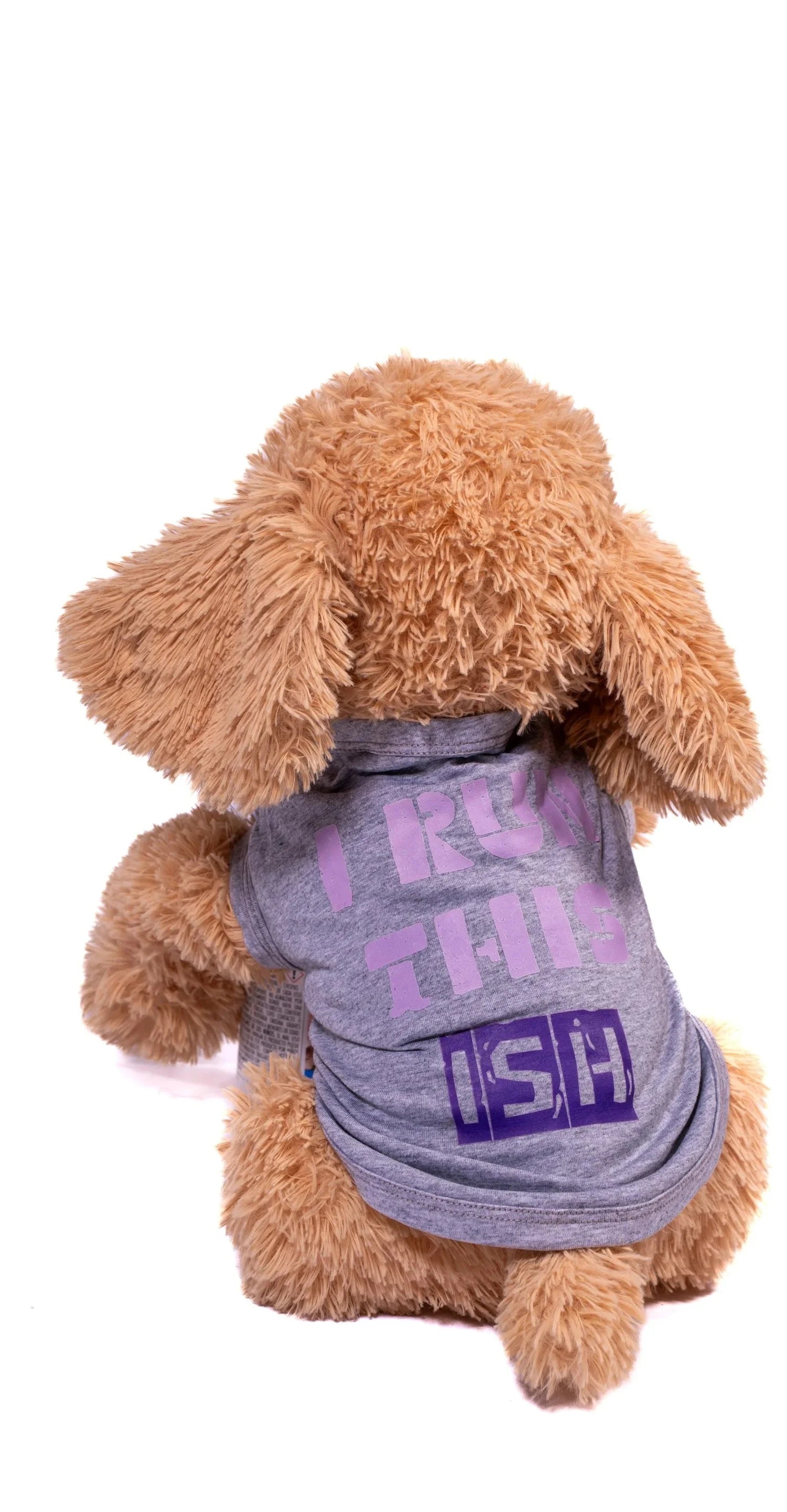This Ish Crazy & I Run This Matching Dog & Owner Shirt Set | Funny Pet Parent Gift