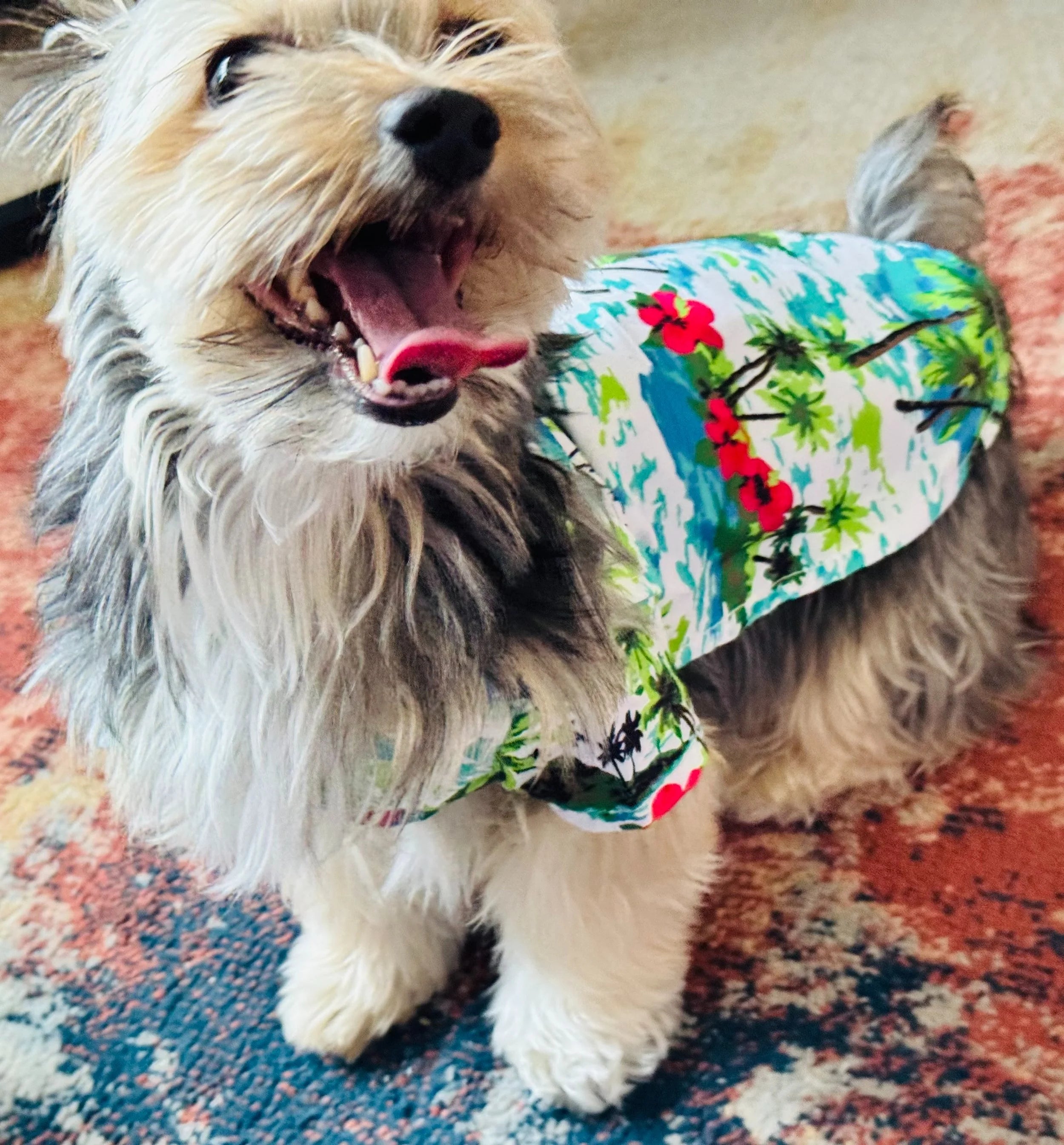 Tropical Dog and Cat Shirt | Hawaiian Pet Shirt | Beach Dog Apparel