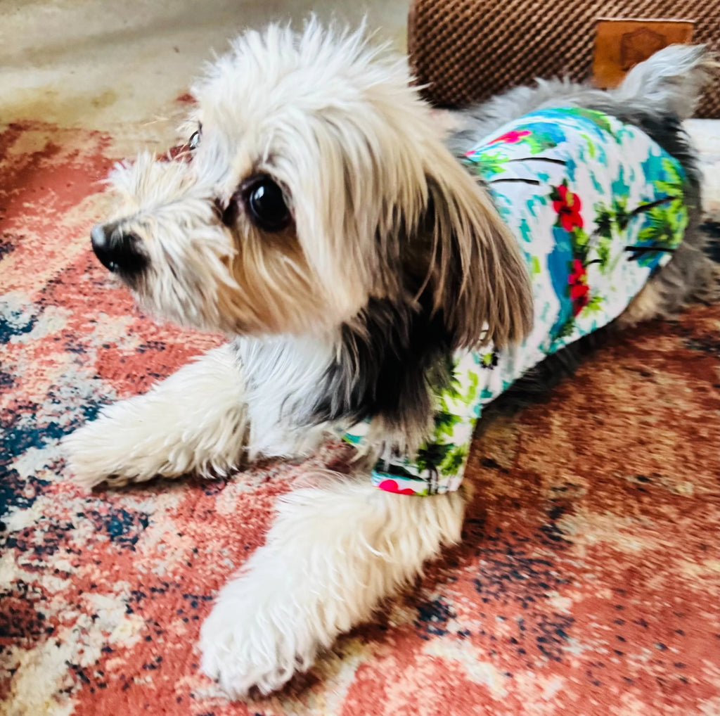 Tropical Dog and Cat Shirt | Hawaiian Pet Shirt | Beach Dog Apparel